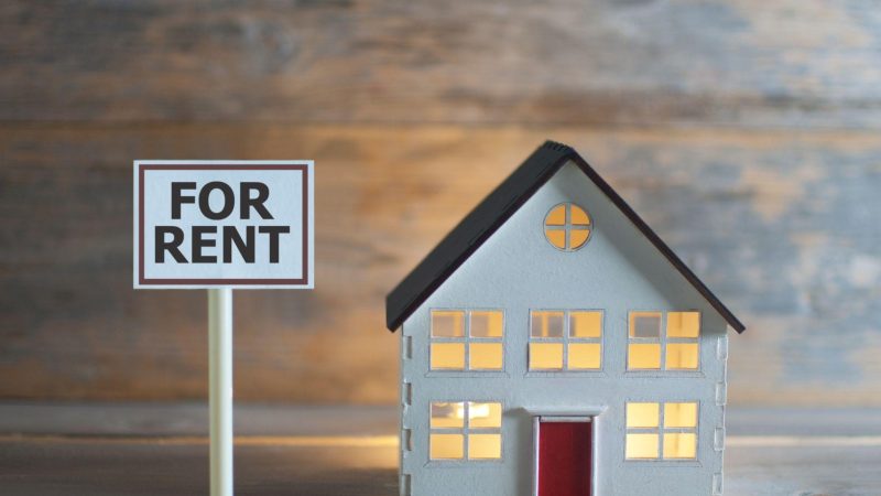 xr:d:DAFaw1XPz50:2,j:3813108334,t:23021619